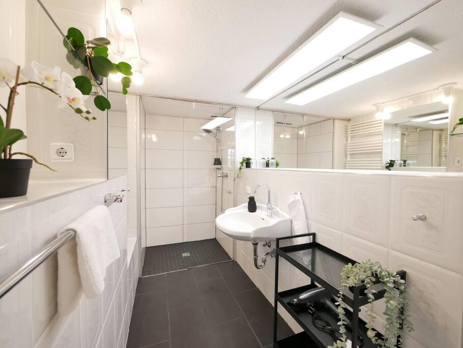 Apartamento 110 M2, Dachterrasse, Kueche, Zentral, Ruhige Lage Paderborn Exterior foto